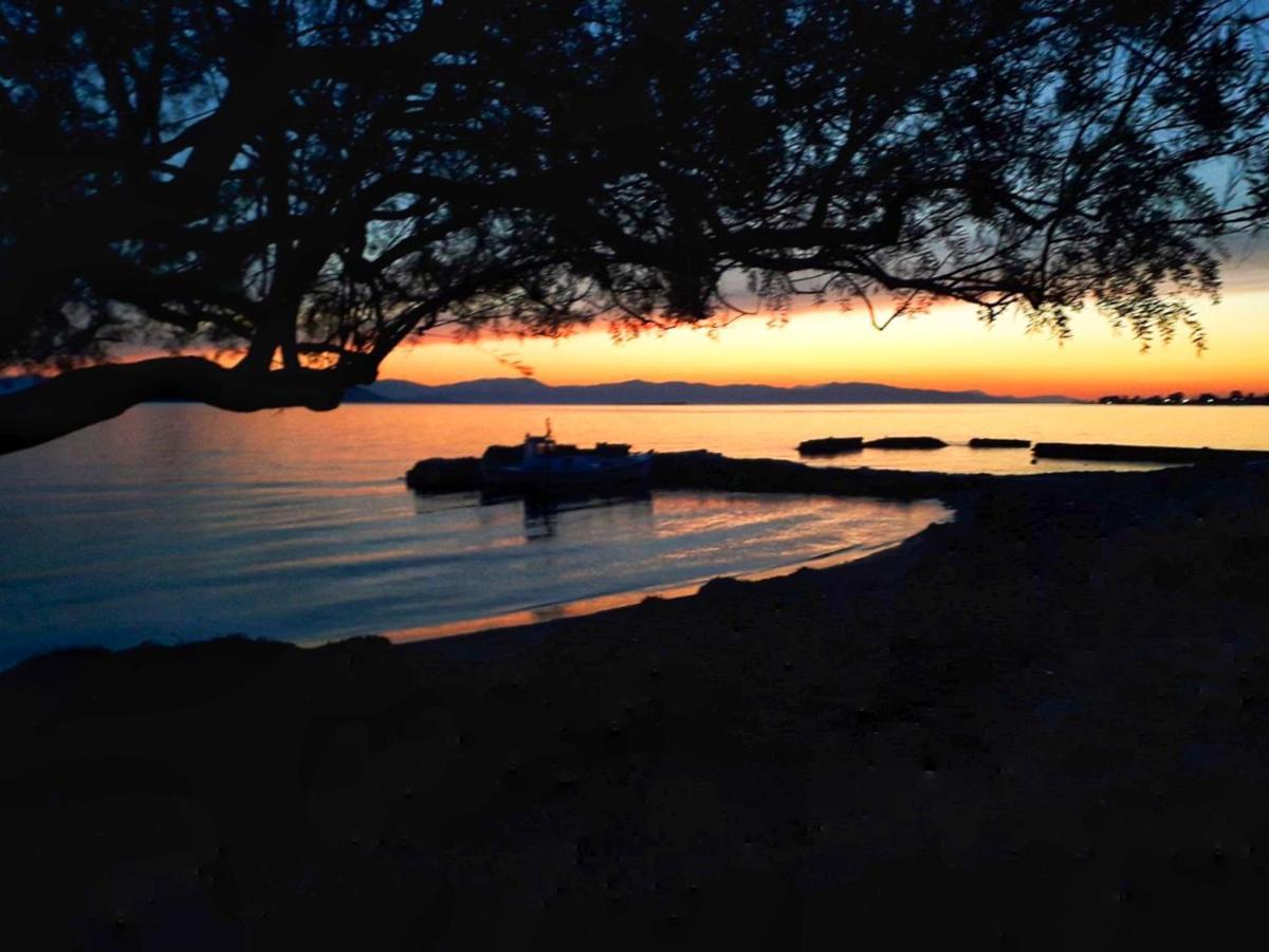 Elegant New Maisonette Near The Sea Aegina Buitenkant foto